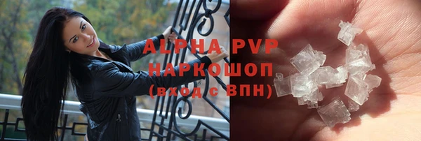 сатива Баксан