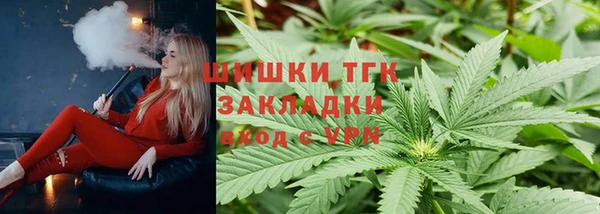 сатива Баксан